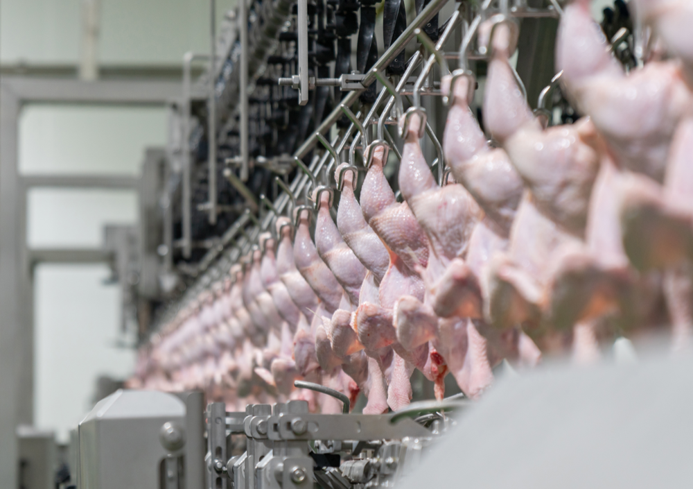 Fresh Meat Processing Software